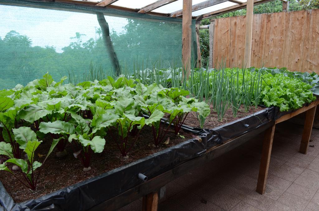 מונטה ורדה Cabinas Capulin & Farm מראה חיצוני תמונה
